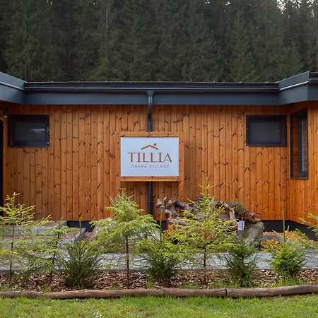 Orava Village Pensjonat 4*